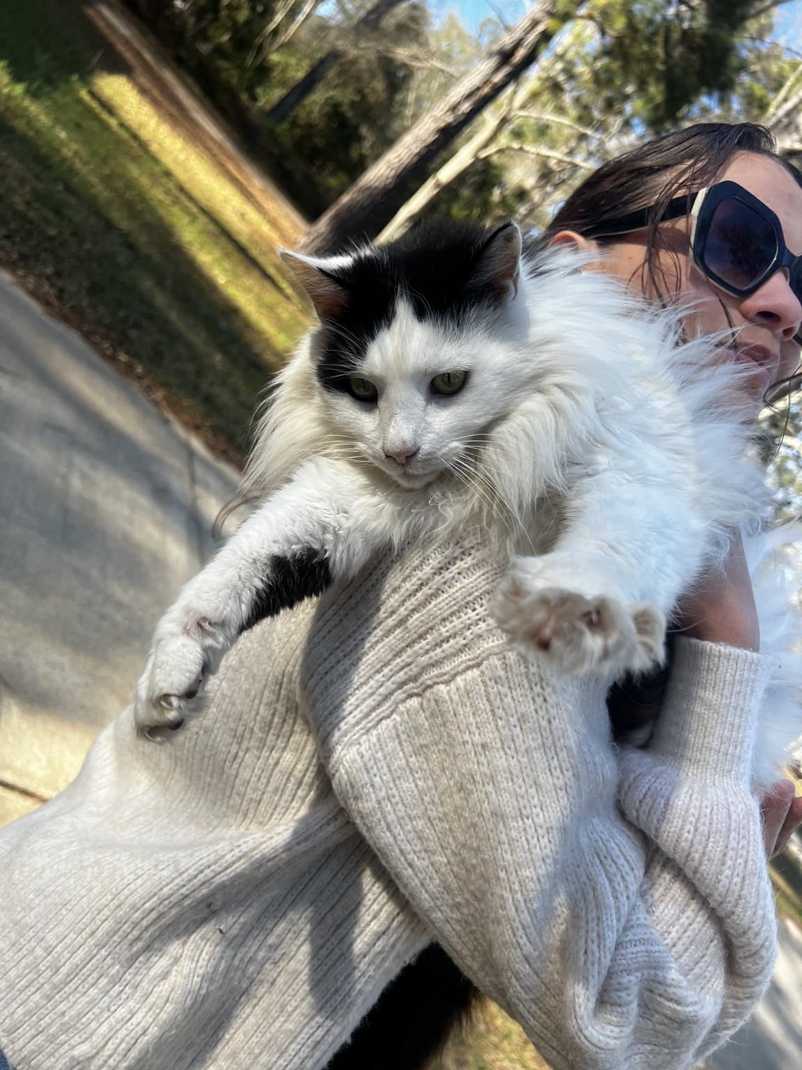 Cruella being held outdoors