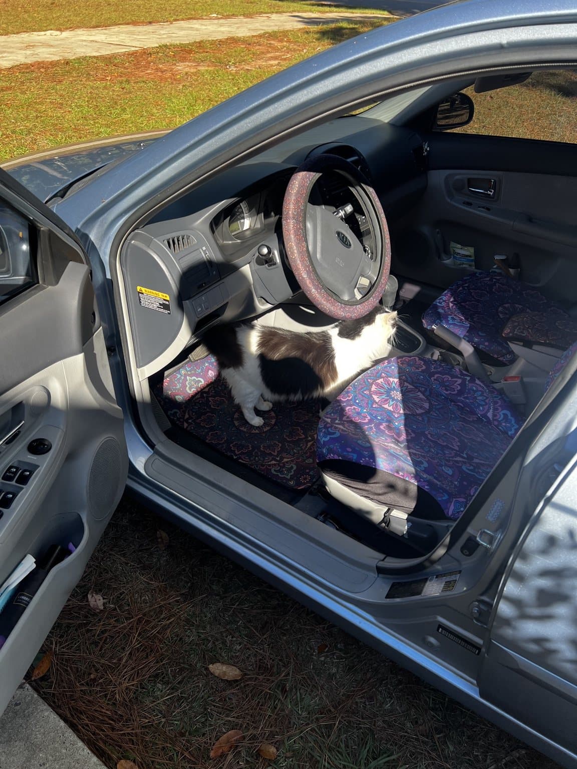 Cruella standing inside a parked car