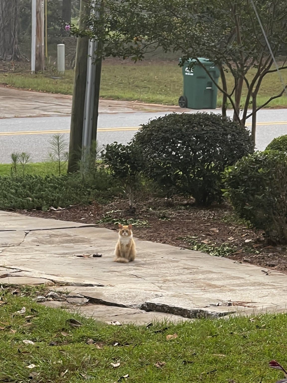 Stalker sitting at a distance and watching from the driveway