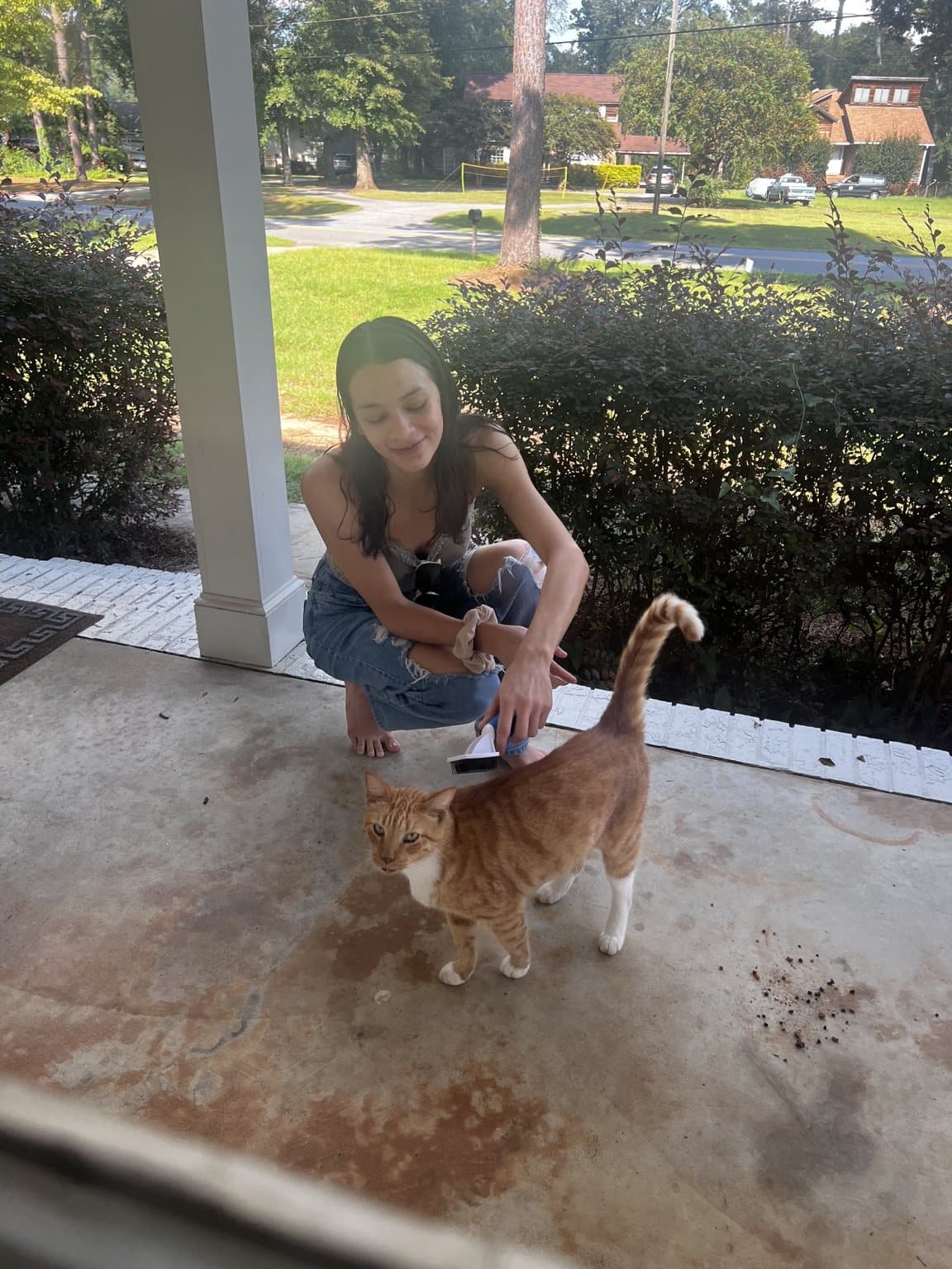 Timmy standing on the porch while being brushed